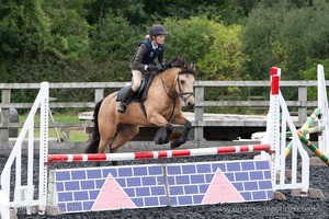 Class 6 - Fences not above 2'9